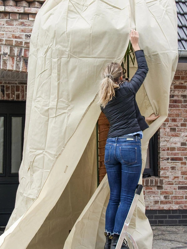 Winterschutz Palmen-Vlieshaube (Art.Nr. Vi29597) - Image 2