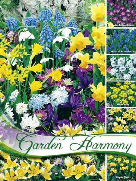 Kollektion Blumenzwiebeln Zum Verwildern (Art.Nr. 598200)