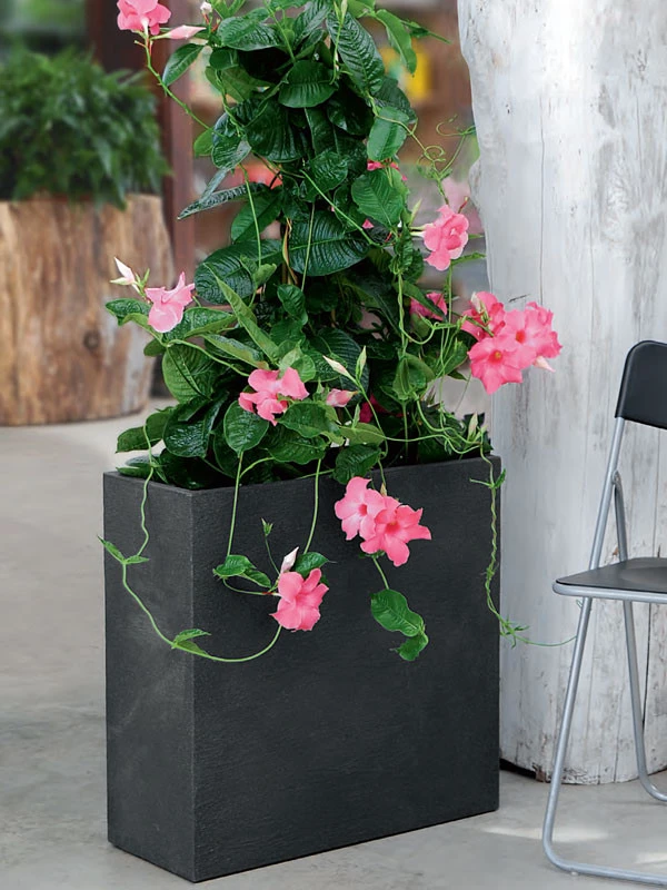 Pflanzkübel Raumteiler "Kubus"
