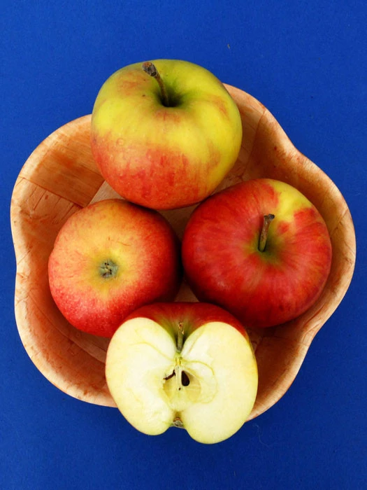 Apfel Jonagold - Image 2