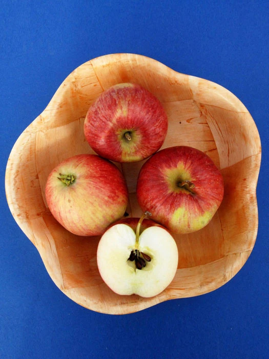 Apfel Resi (S) - Image 2