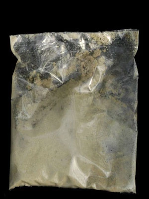 Maulwurfsgrillen-Nematode (Art.Nr. KB4166) - Image 2