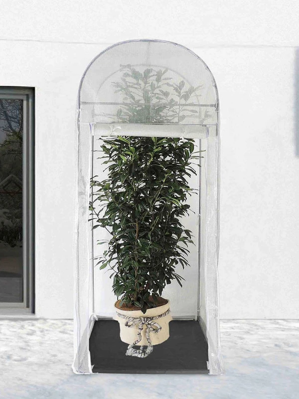 Frost-Schutzhaus PALM-PROTECT (Art.Nr. V29891) - Image 2