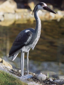 Teichfigur Fischreiher (Art.Nr. 36868)