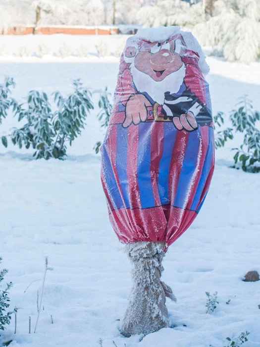 Winterschutz-Vlieshaube "blau-rot" (Art.Nr. Vi29136) - Image 3